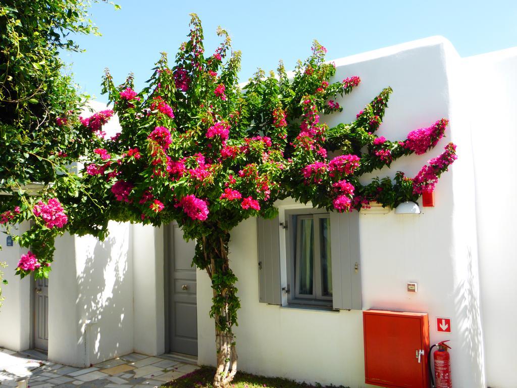Paros Bay Hotel Parasporos Luaran gambar